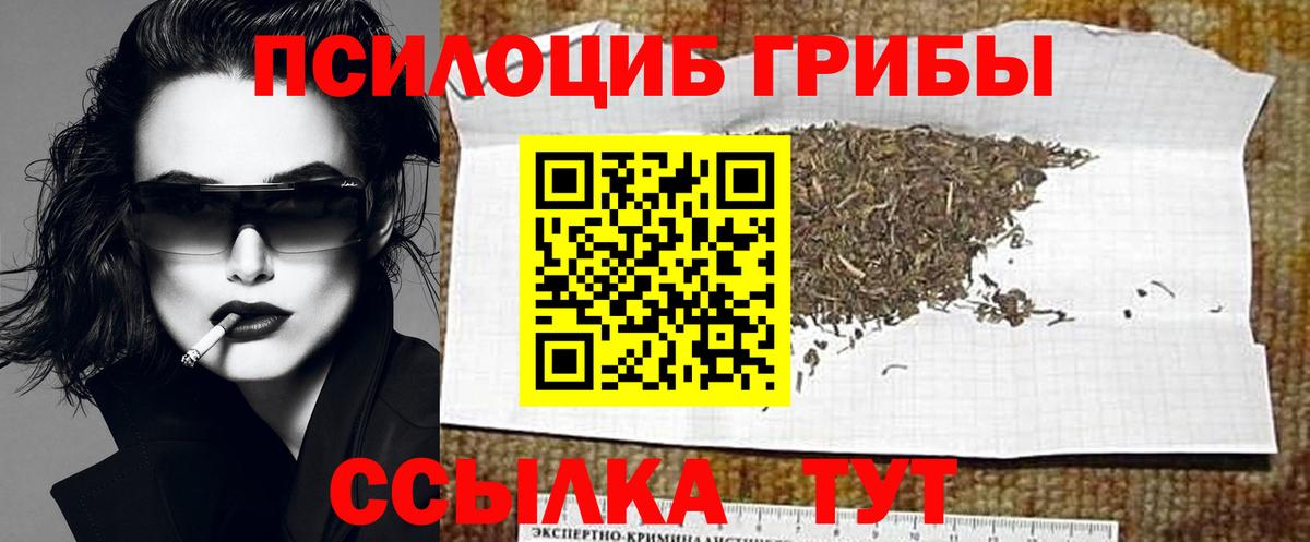 Донецк  Псилоцибиновые грибы мухоморы  Вход с VPN 
