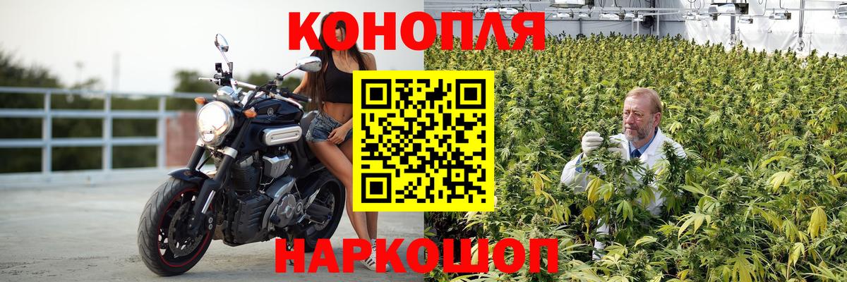 Донецк  Канабис план  Марихуана гибрид  Вход с VPN 